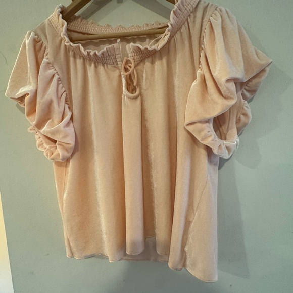 Free People Terese Velour Ruffle Sleeve Top in Pink Tint Size M - Picture 7 of 11